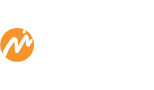 Metro Turizm